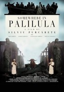 Somewhere in Palilula poster image