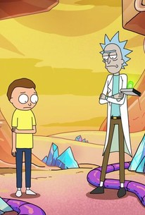 Rick And Morty Season 4 Episode 5 Rotten Tomatoes