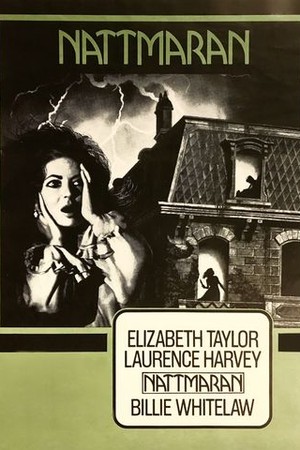 Night Watch poster