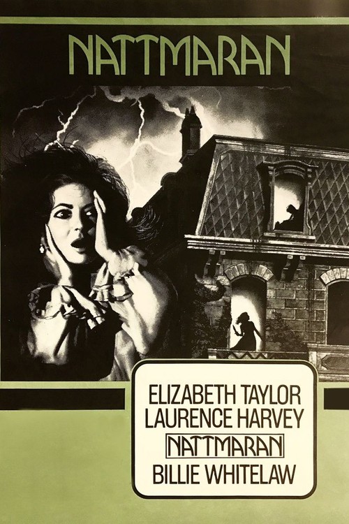 Night Watch poster