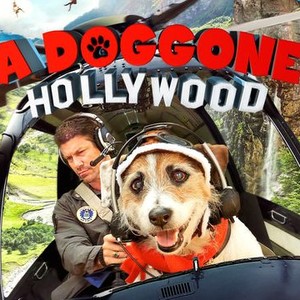 A Doggone Hollywood photo 6