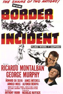 Border Incident poster