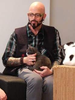 My cat from hell season 7 episode 2 discount