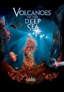 Volcanoes of the Deep Sea poster image