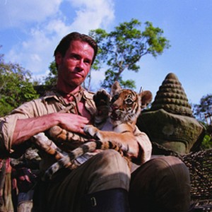 Antiquities hunter Aidan McRory (GUY PEARCE) removes one of a set of twin tiger cubs from a looted temple in the adventure drama Two Brothers. photo 7