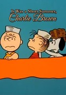 It Was a Short Summer, Charlie Brown poster image