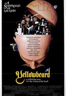 Yellowbeard poster image