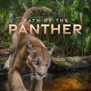 Path of the Panther - Rotten Tomatoes