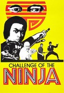 Challenge of the Ninja poster image