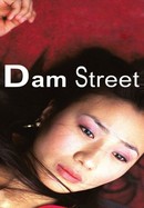 Dam Street poster image