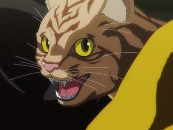 Nyaight of the Living Cat: Season 1, Episode 1 | Rotten Tomatoes