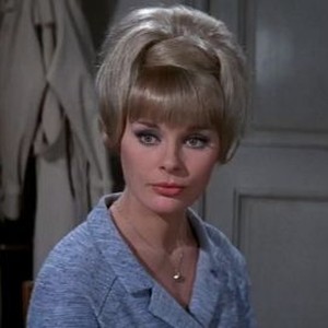 A Shot in the Dark (1964)