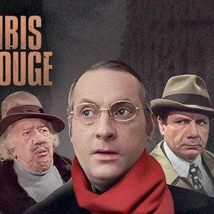 L'Ibis rouge photo 5