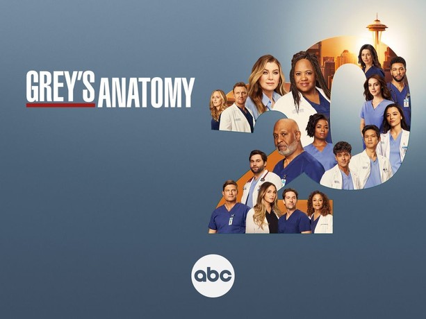 Grey's anatomy season 2 episode 24 watch online deals