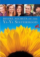 Divine Secrets of the Ya-Ya Sisterhood poster image