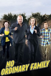 No Ordinary Family poster image