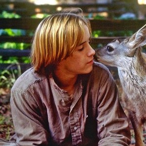 The Yearling (1994) photo 5