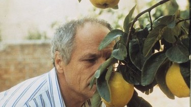 El Sol del Membrillo (1992) | Rotten Tomatoes