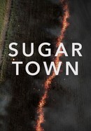 Sugar Town poster image