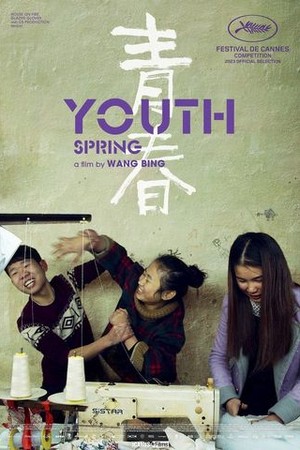Youth (Spring) poster