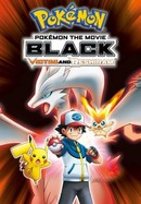 Pokémon the Movie: Black - Victini and Reshiram poster image