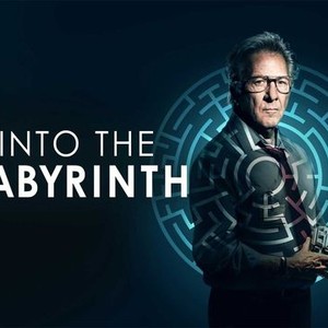 Into the Labyrinth review – Dustin Hoffman psycho-thriller goes down a  rabbit hole, Movies