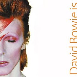 David Bowie Is photo 4
