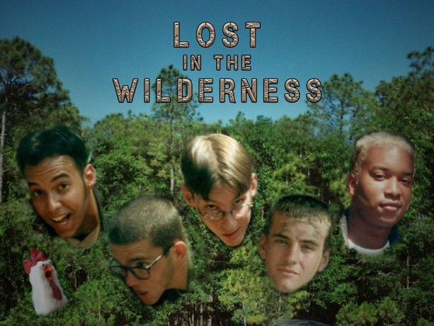 tr0721 映画ポスター 消失する荒野Vanishing wilderness Wilderness: Part One (2017) - IMDb