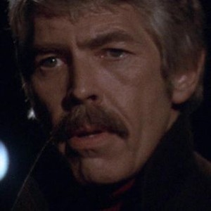 The Internecine Project (1974)