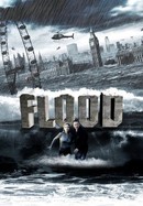 Flood poster image