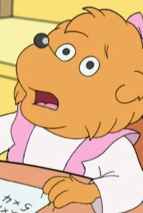 The Berenstain Bears: Season 1, Episode 16 | Rotten Tomatoes