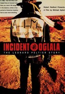 Incident at Oglala poster image