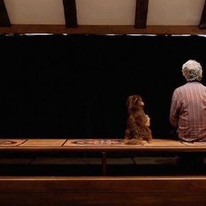 CLOSED CURTAIN, (aka PARDE), Jafar Panahi, 2013. ©Variance Films