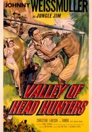 Valley of Head Hunters poster image