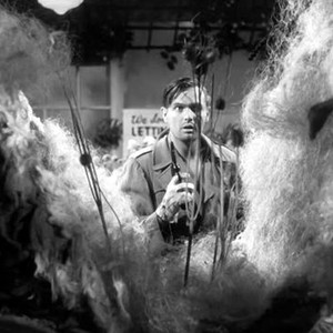 The Little Shop of Horrors (1960) photo 1