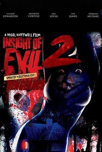 Insight of Evil 2: Vengeance | Rotten Tomatoes