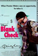 Blank Check poster image