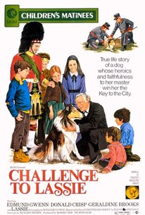 Poster for Challenge to Lassie