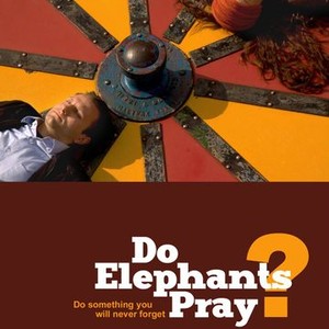 Do Elephants Pray? (2010) photo 13