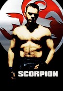 Scorpion poster image