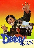 Deadly Kick poster image
