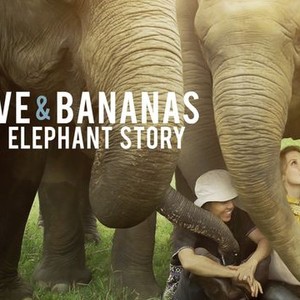 Love & Bananas: An Elephant Story photo 9