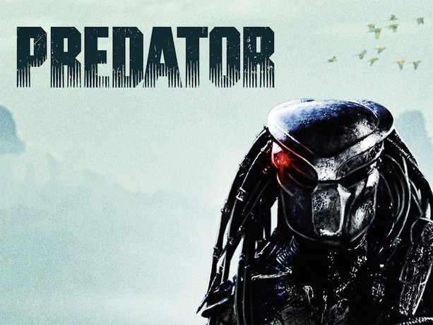 Predator rotten outlet