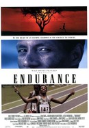 Endurance poster image