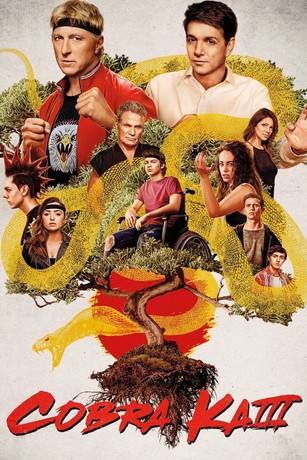 Cobra kai season hotsell 2 watch now