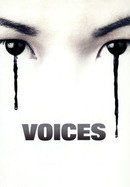 Voices poster image