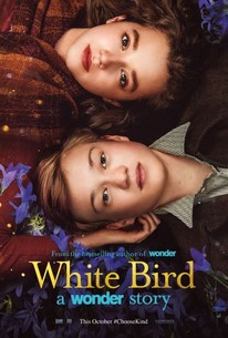 Watch trailer for White Bird: A Wonder Story