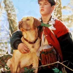 FAR FROM HOME: THE ADVENTURES OF YELLOW DOG, Jesse Bradford, 1995.