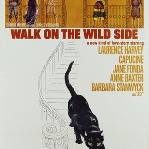 Walk on the Wild Side (1962) photo 8