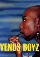 Venus Boyz poster image